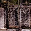 IMG_4440.jpg
