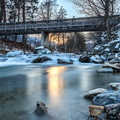 IMG_7494.jpg