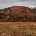 IMG_6332.jpg