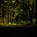 IMG_0662.jpg
