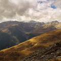 IMG_4611.jpg