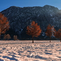 IMG_6857.jpg