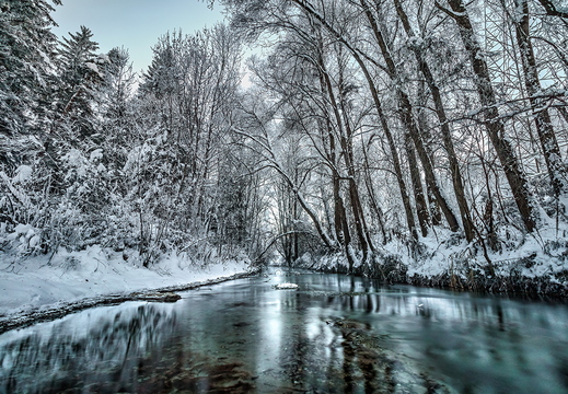 Waldlehrpfad Lavant Winter 2021