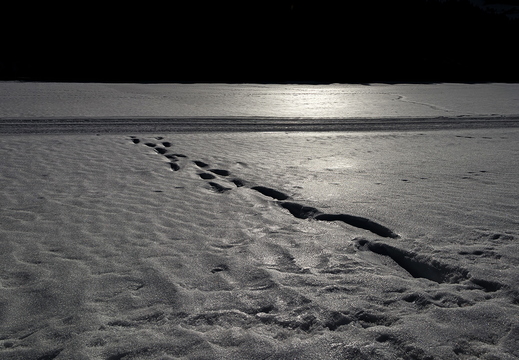 Spuren im Schnee