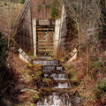 IMG_3879.jpg