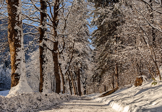 Verschneiter Pfad in Lienz