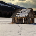 IMG_7663.jpg