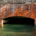 IMG_4453.jpg