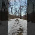youtube-wHN6vzgFby0-6564af329729a.jpg