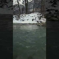 youtube-rddafz6GTUQ-6564b03b82392.jpg