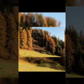 youtube-xys59jrYRDI-6579efc1808ee.jpg